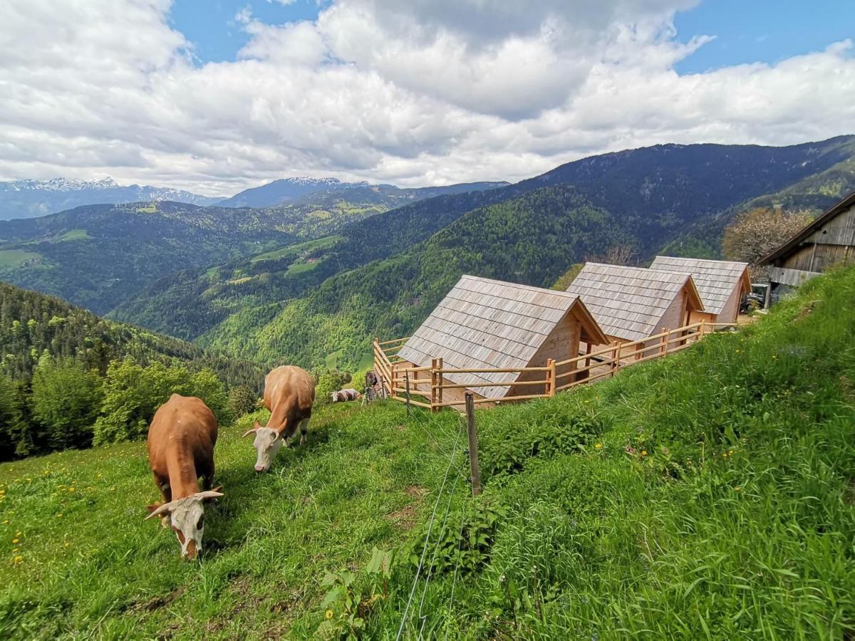 Farmstay&Glamping Visocnik リュブノ エクステリア 写真
