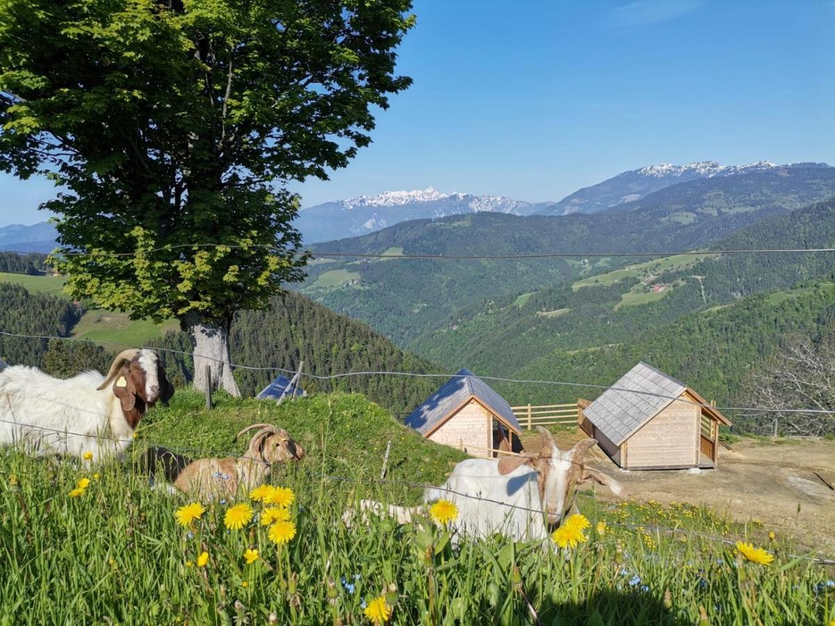 Farmstay&Glamping Visocnik リュブノ エクステリア 写真