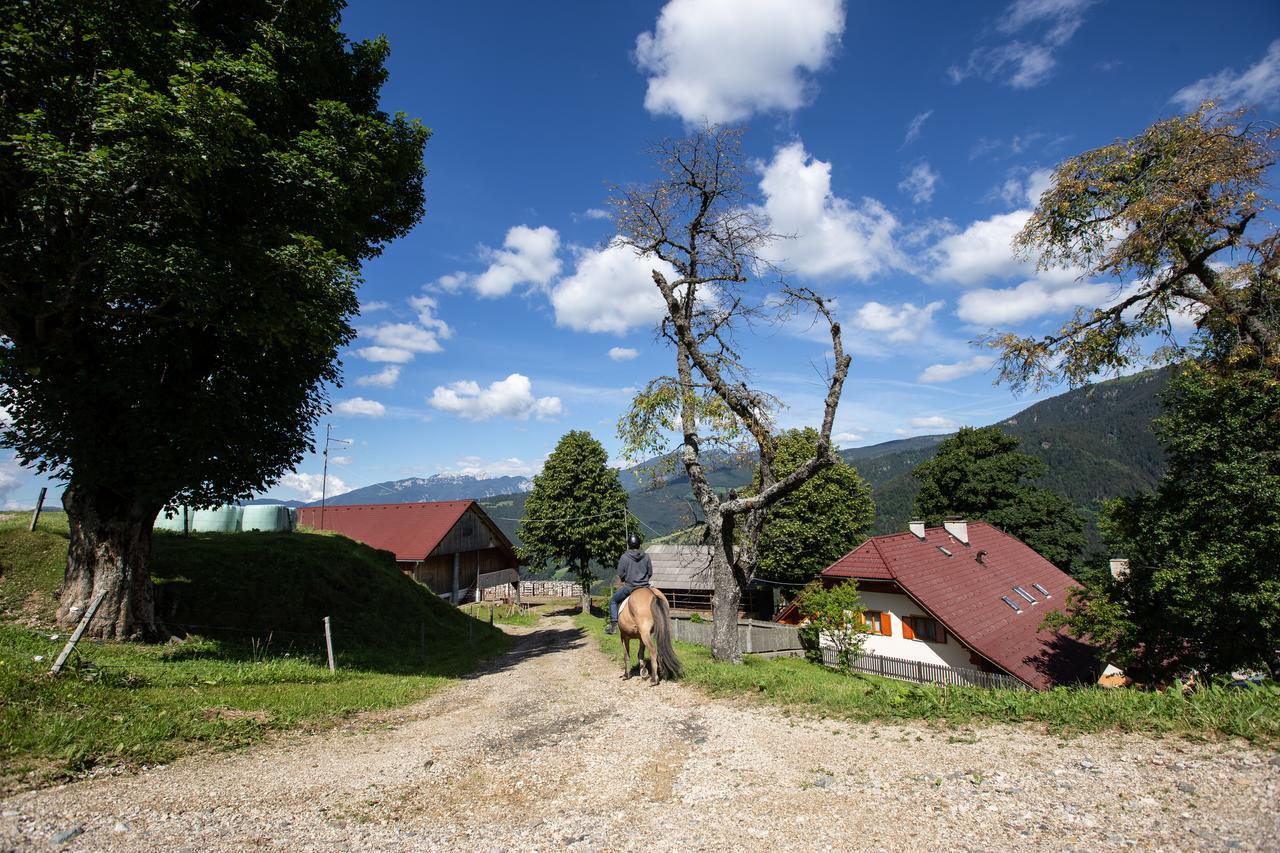 Farmstay&Glamping Visocnik リュブノ エクステリア 写真